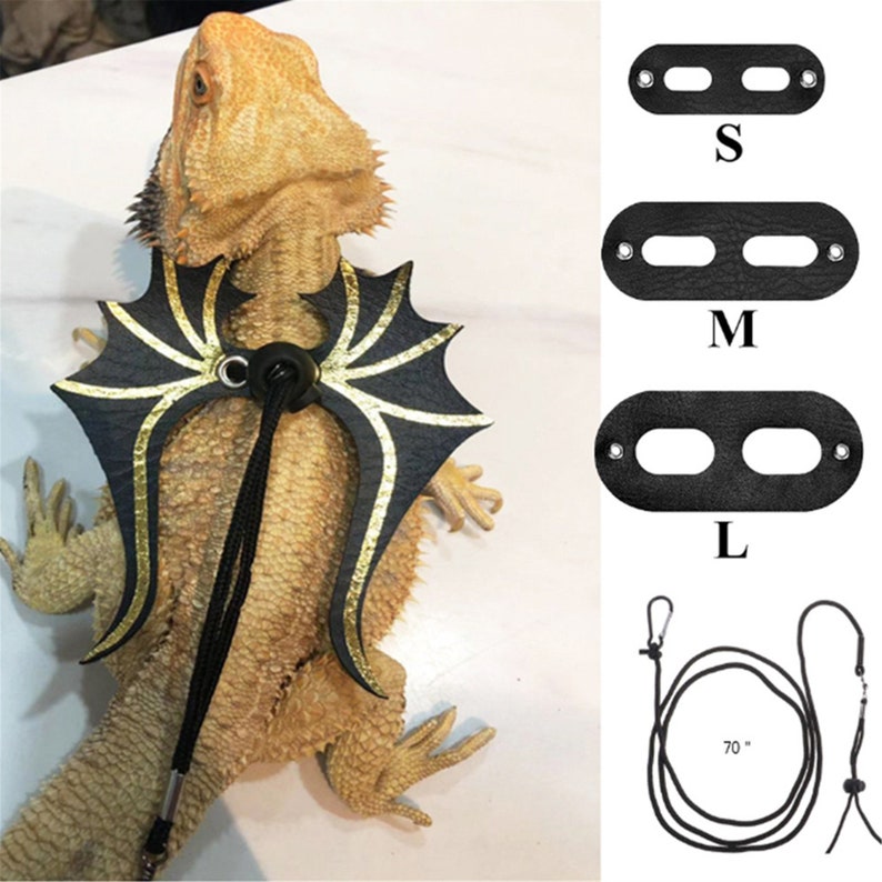 Harness Leash Bearded Dragon Harness Rope New S/M/L Lizard Etsy