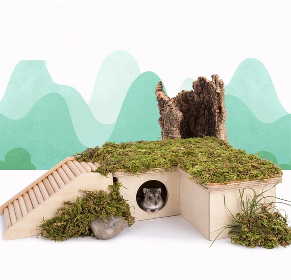 Natural Moss Mat Hamster Multiroom Moss Terrace Hamster Cage Etsy