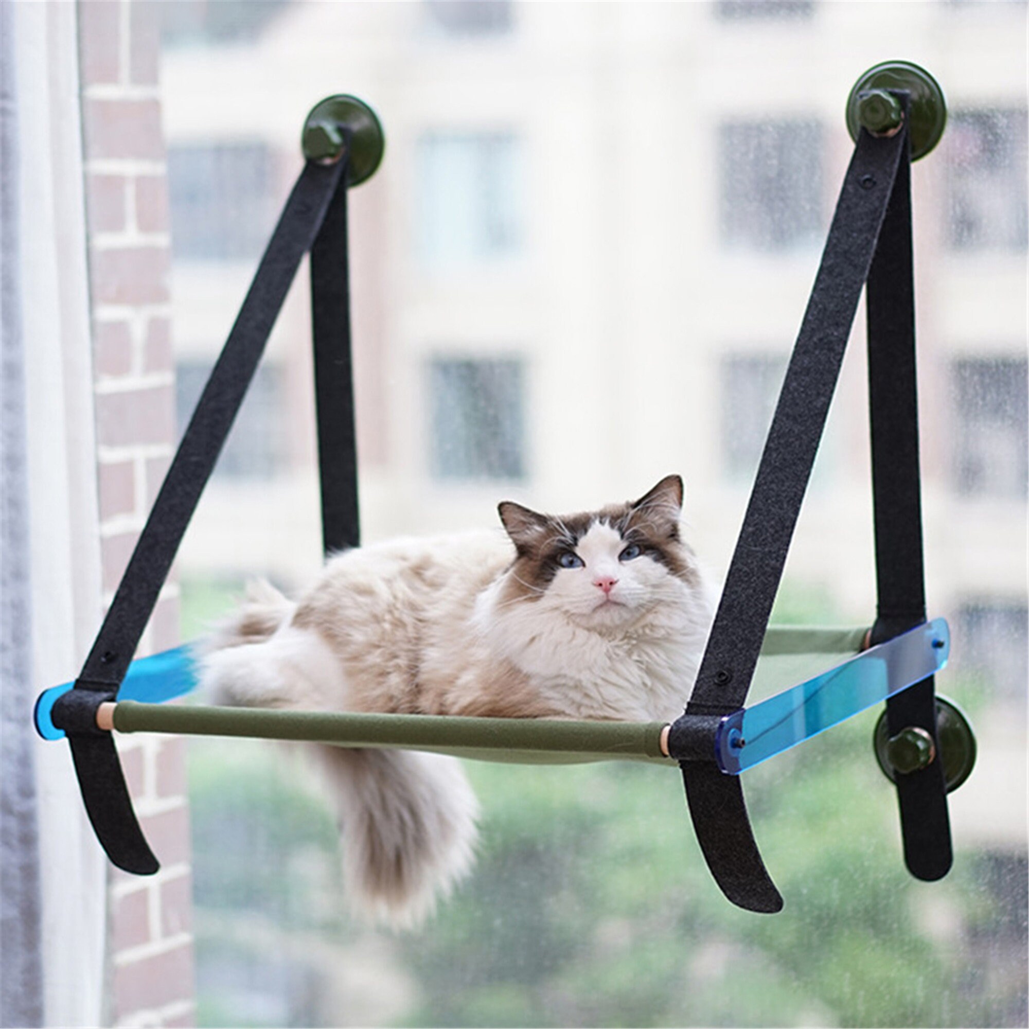 Cat Window Perch Pet Hanging Bed Summer Cat Bed Durable Window Etsy