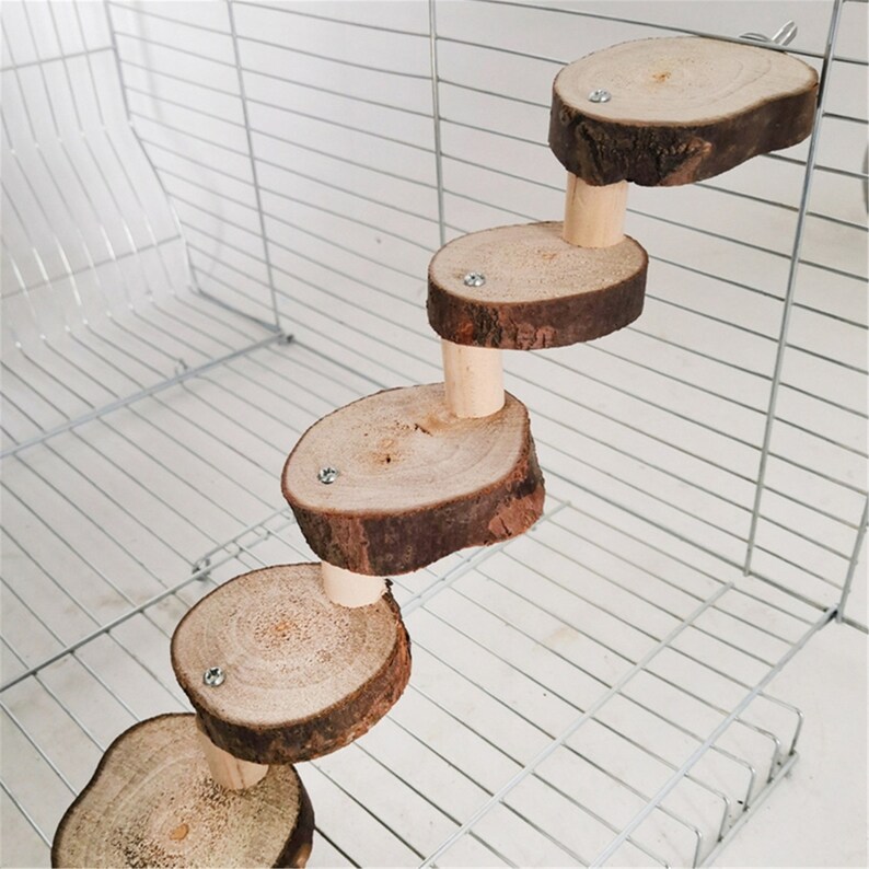 Wooden Hamster Climbing Ladder Stairs Parrot Birds Exercise Etsy
