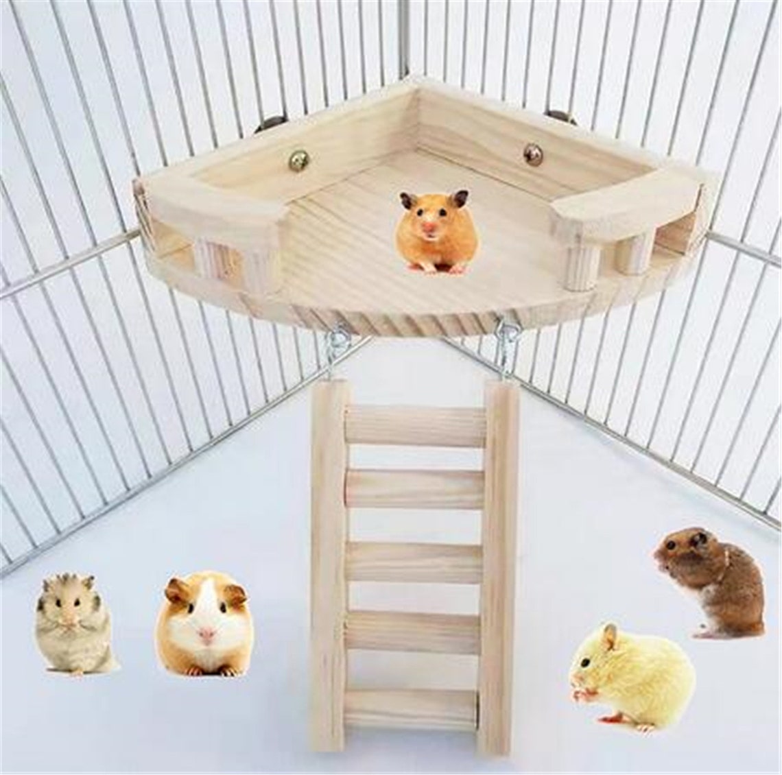 Hamster Platform and Ladder Set Wood Hamster Exercise Platform Etsy
