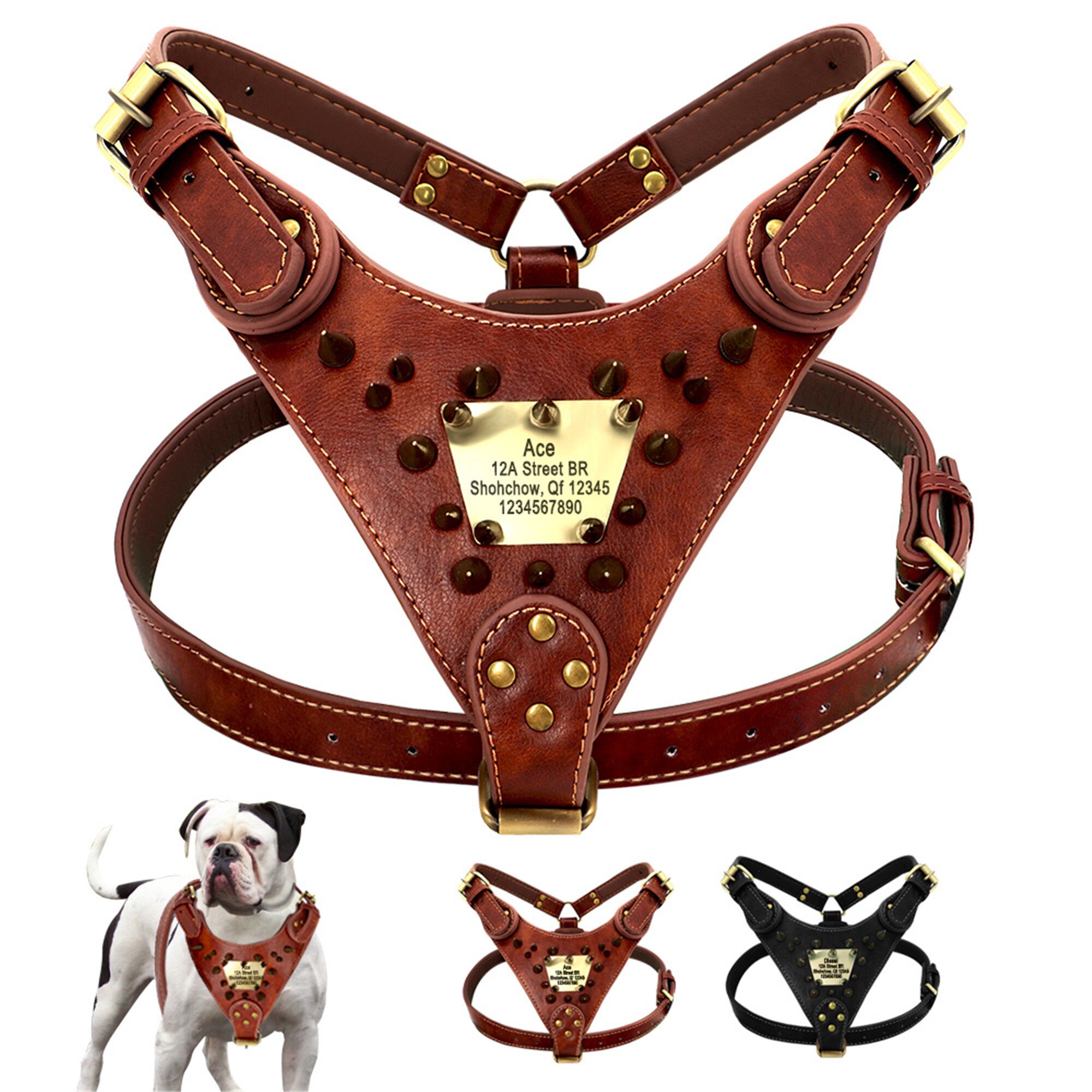 studded dog harness