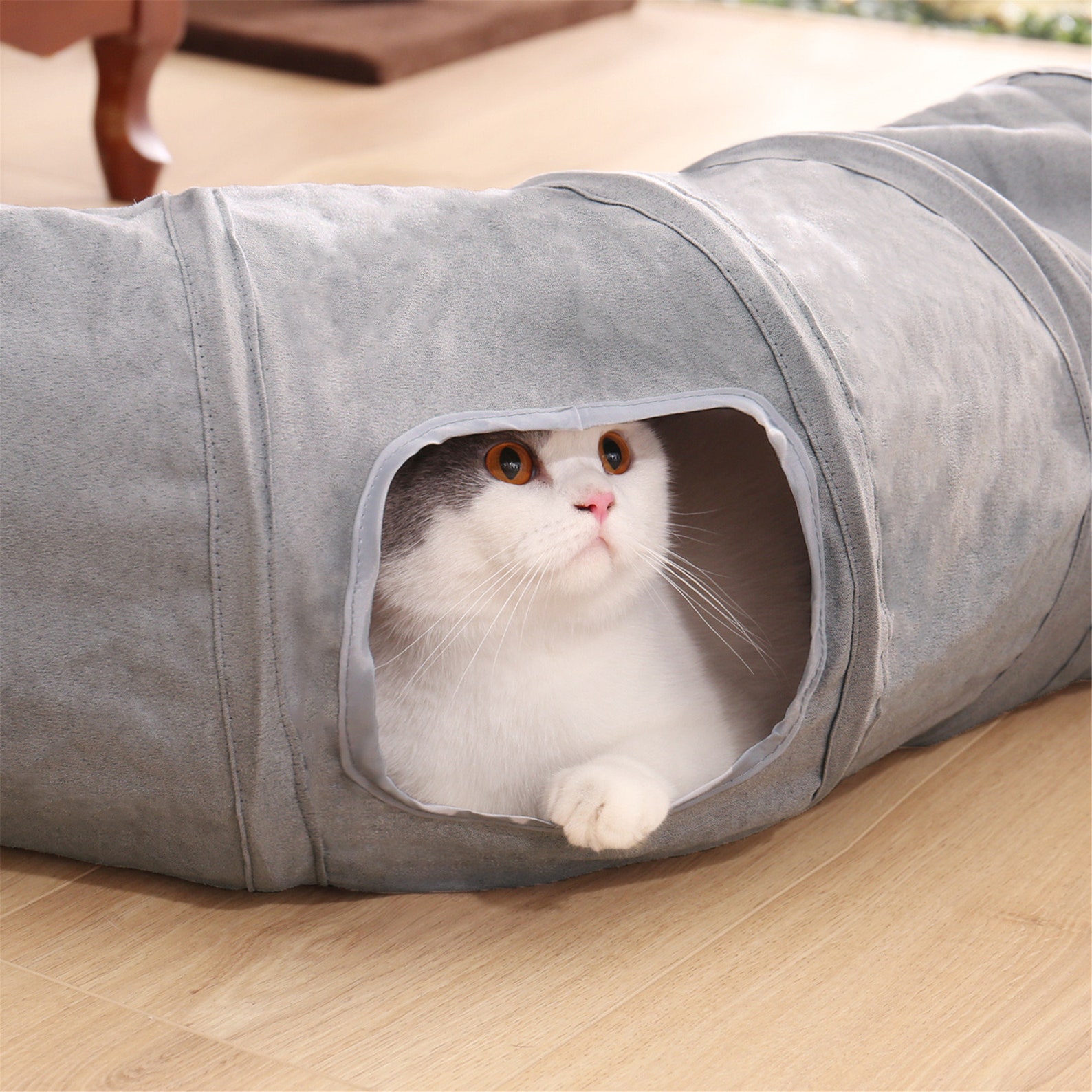 Collapsible Cat Tunnel Cat Toys Play Tunnel Durable Suede Etsy Canada