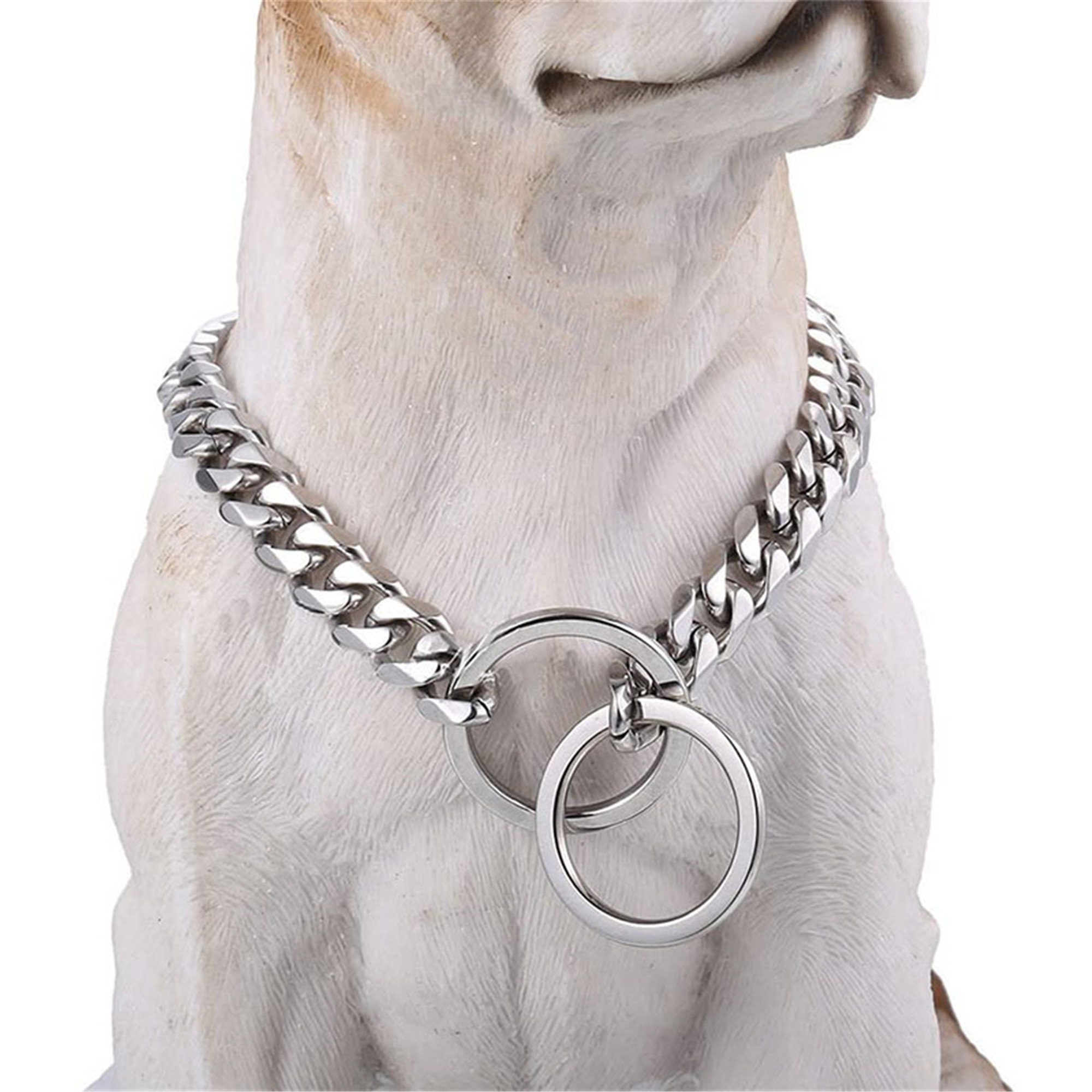 flat link dog collar