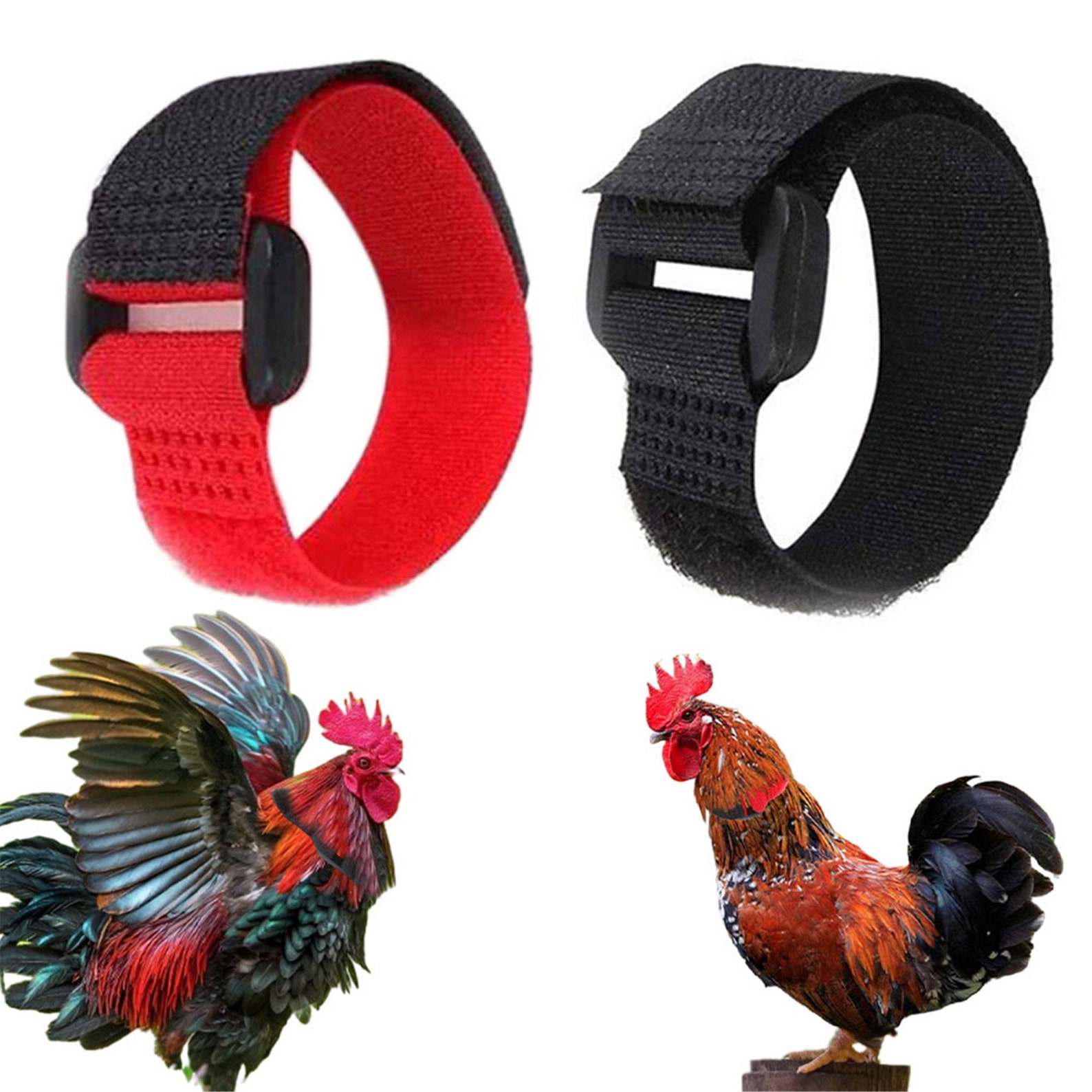 2PCS Chicken Crow Collar Nylon Nocrow Rooster Collar Noise Etsy UK