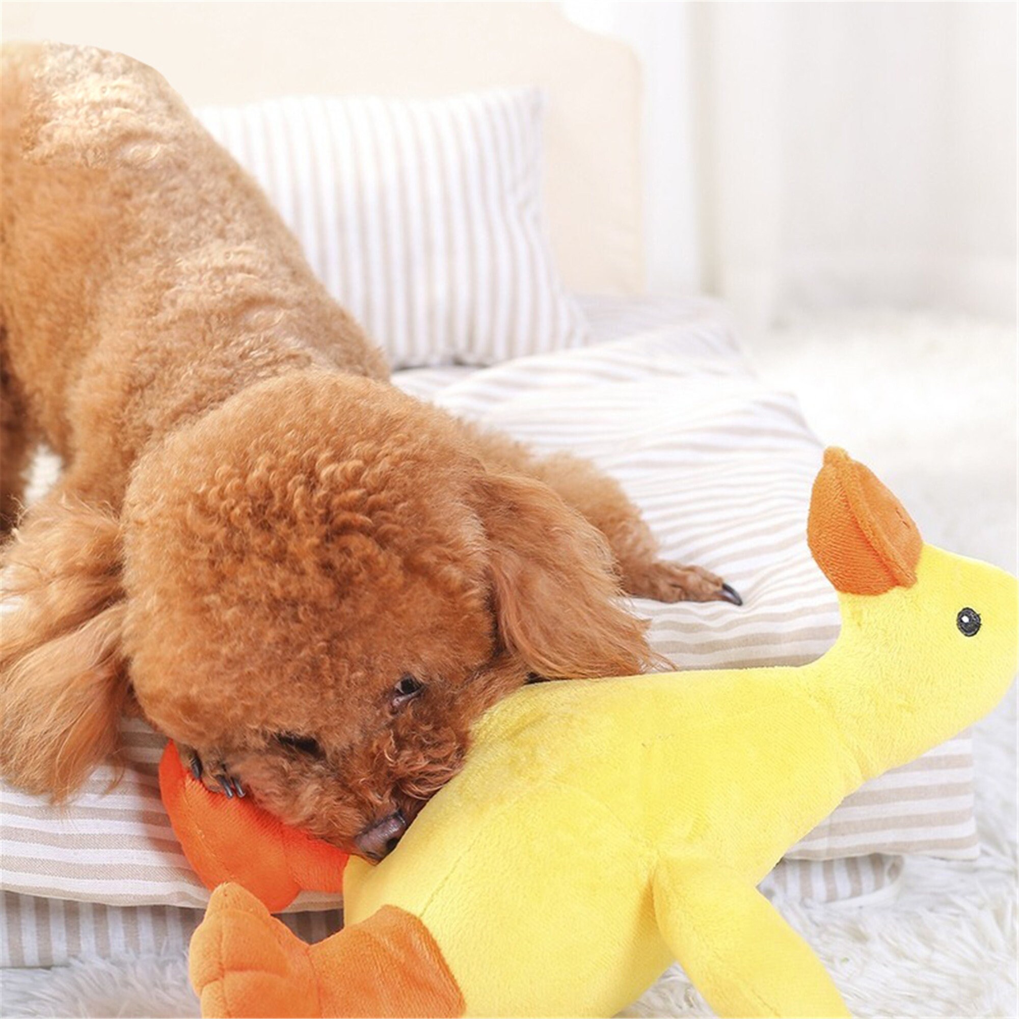 Dog Toy Voice Plush Toy Yellow Duck Training Playing Sniffing Etsy UK