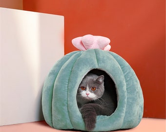 cat cactus bed