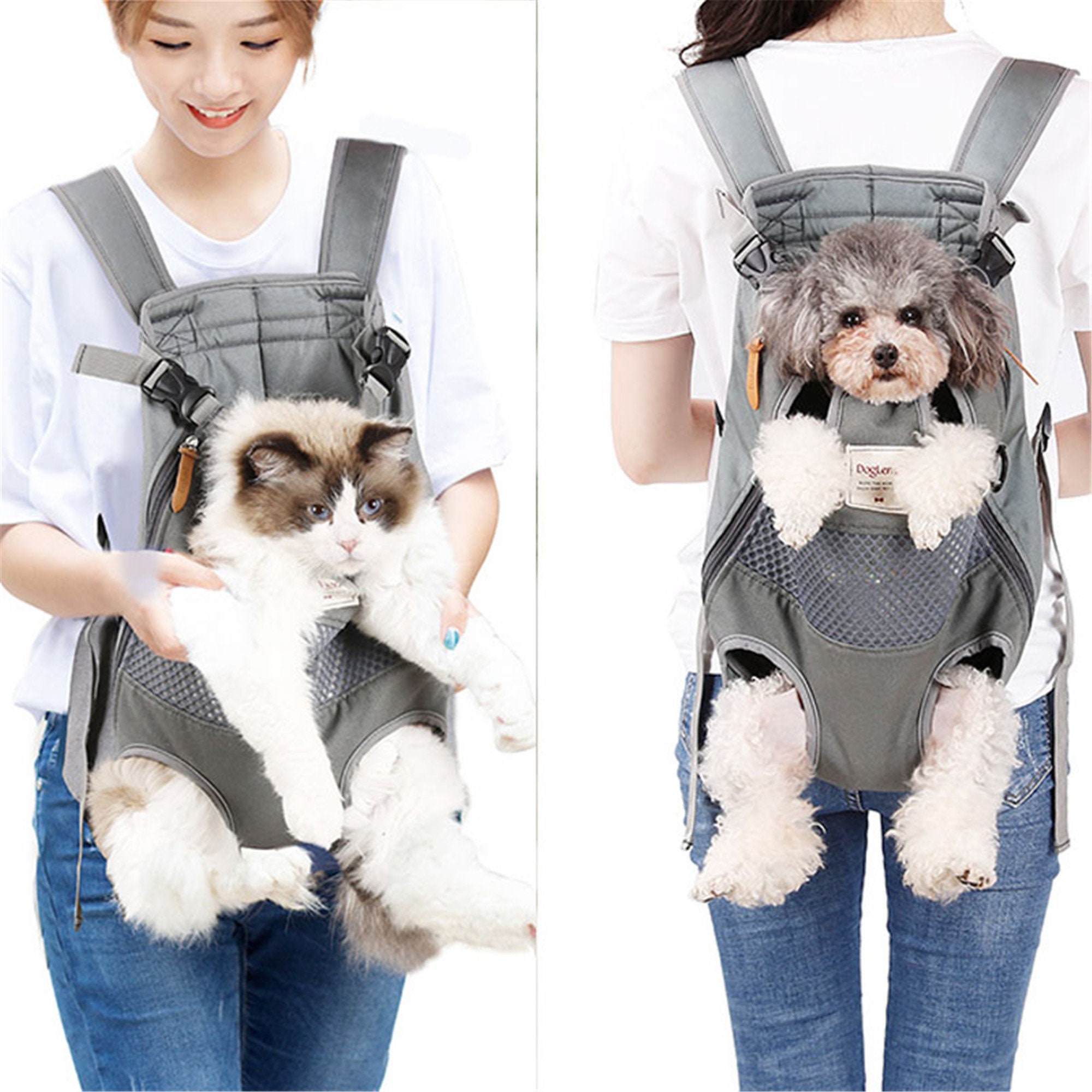small dog front backpack