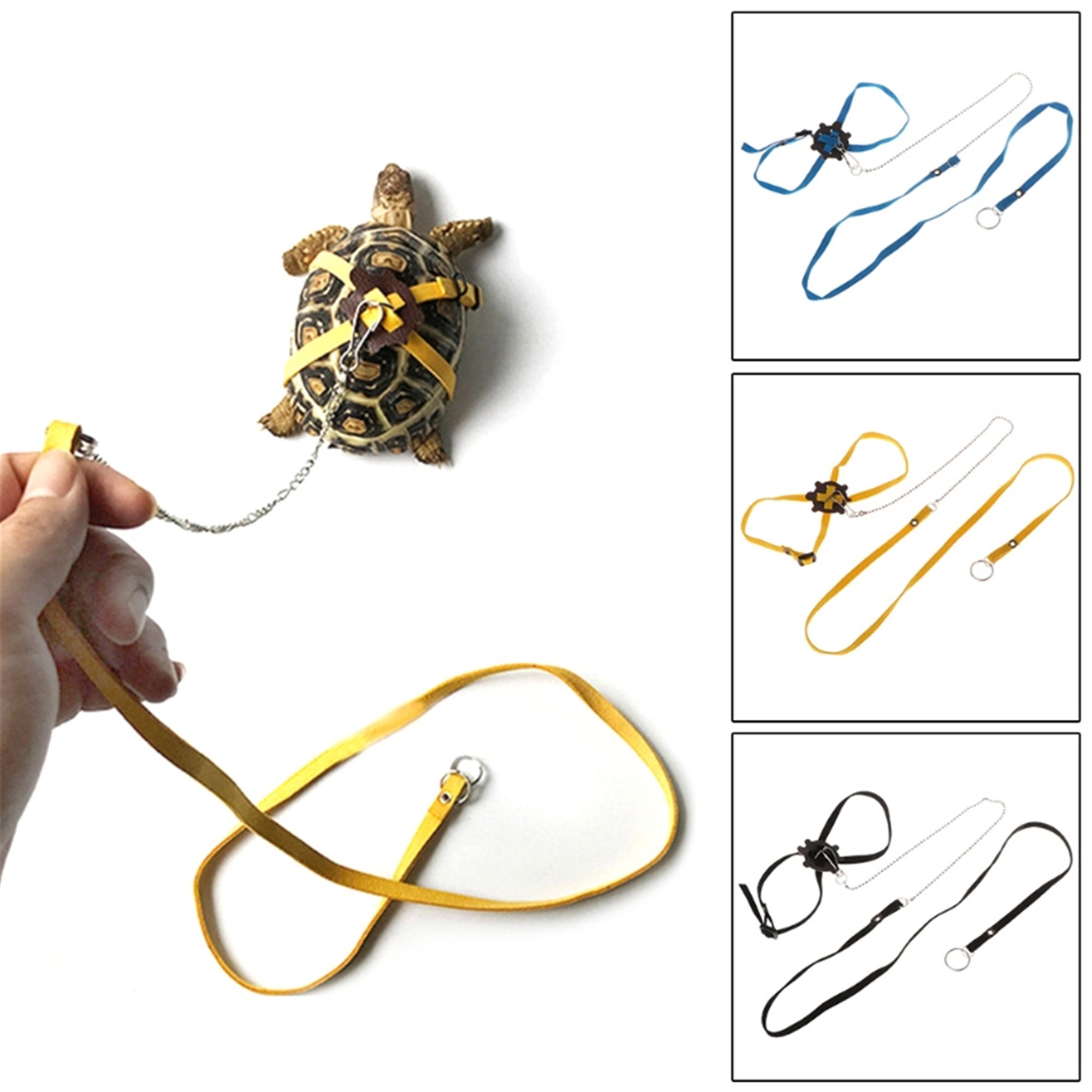 tortoise harness and leash