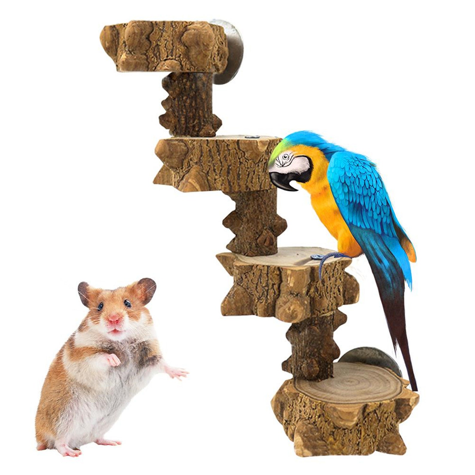 Parrot Springboard Climbing Ladder Hamster Wooden Pier Ladder Etsy