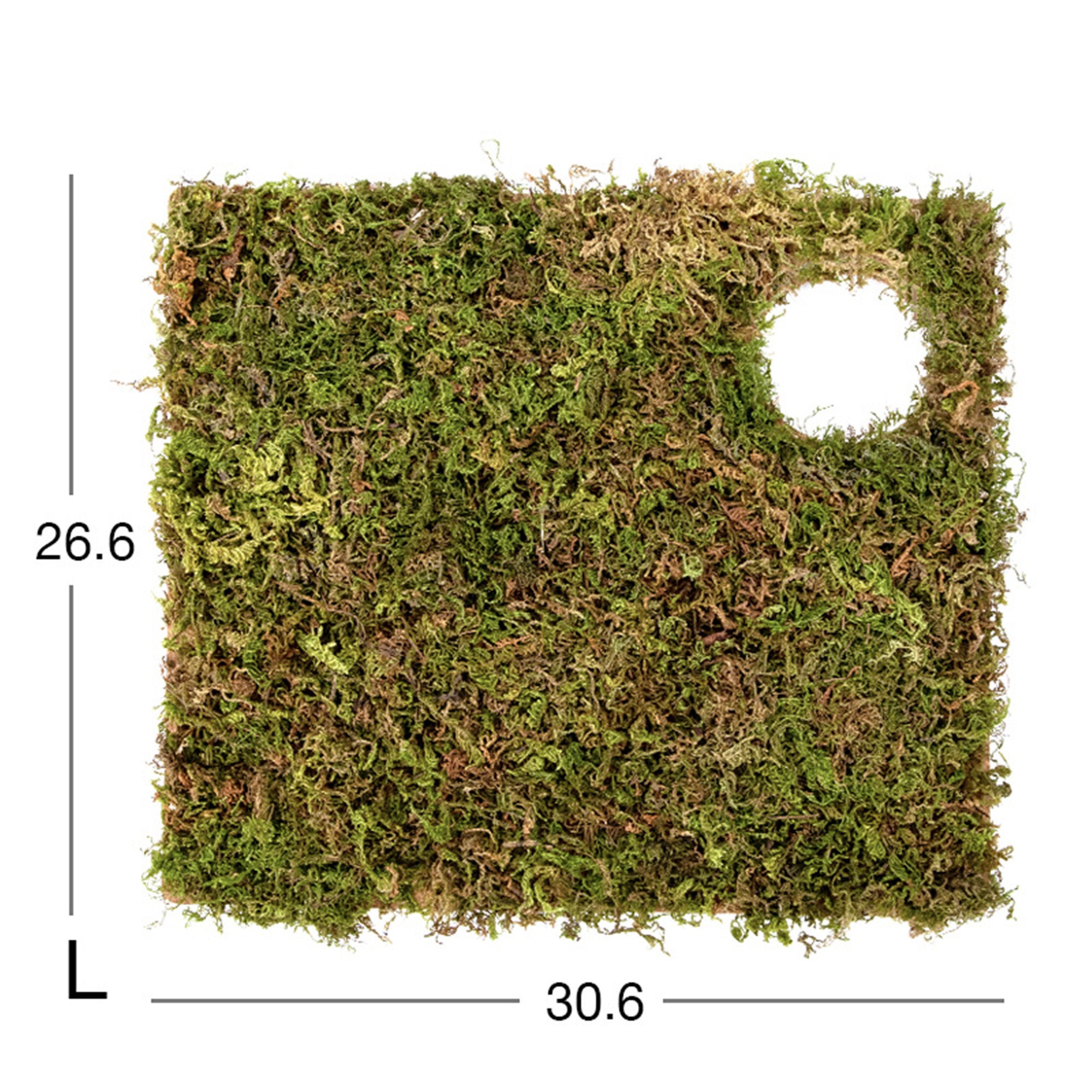 Natural Moss Mat Hamster Multiroom Moss Terrace Hamster Cage Etsy Canada