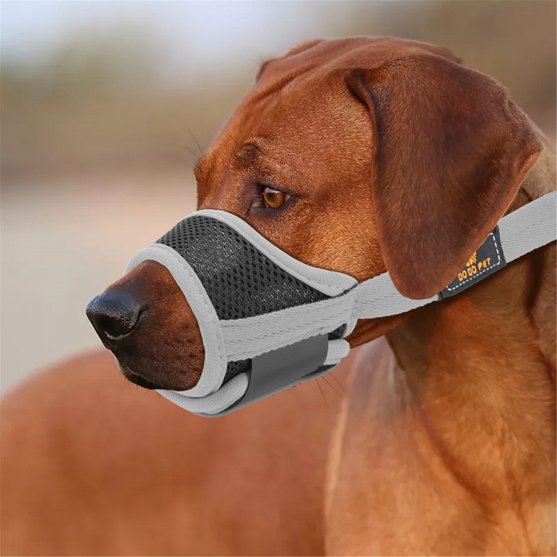 muzzle for dogs muzzle for dogs