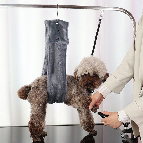 grooming table leash