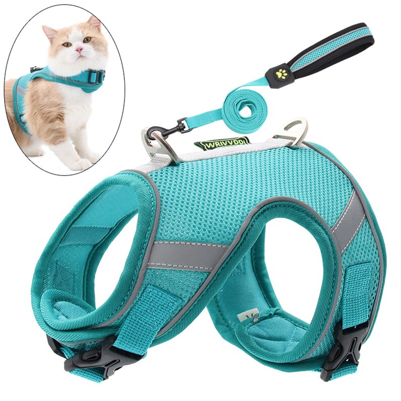 padded cat harness