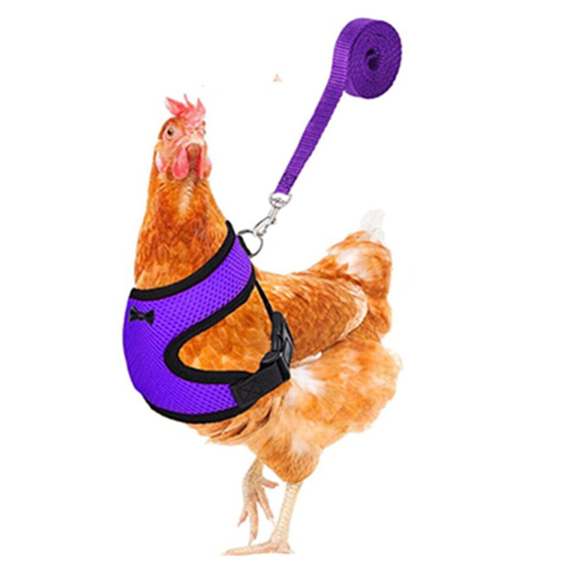 Adjustable Chicken Harness Leash Comfortable and Breathable Etsy