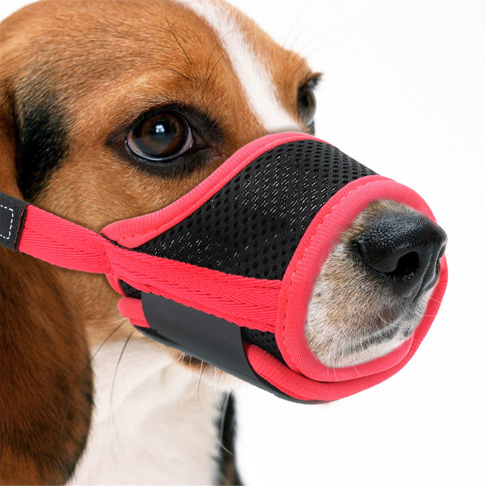 Breathable Dog Muzzle NO Bite Pet Muzzle Mesh Muzzles Mask for Etsy