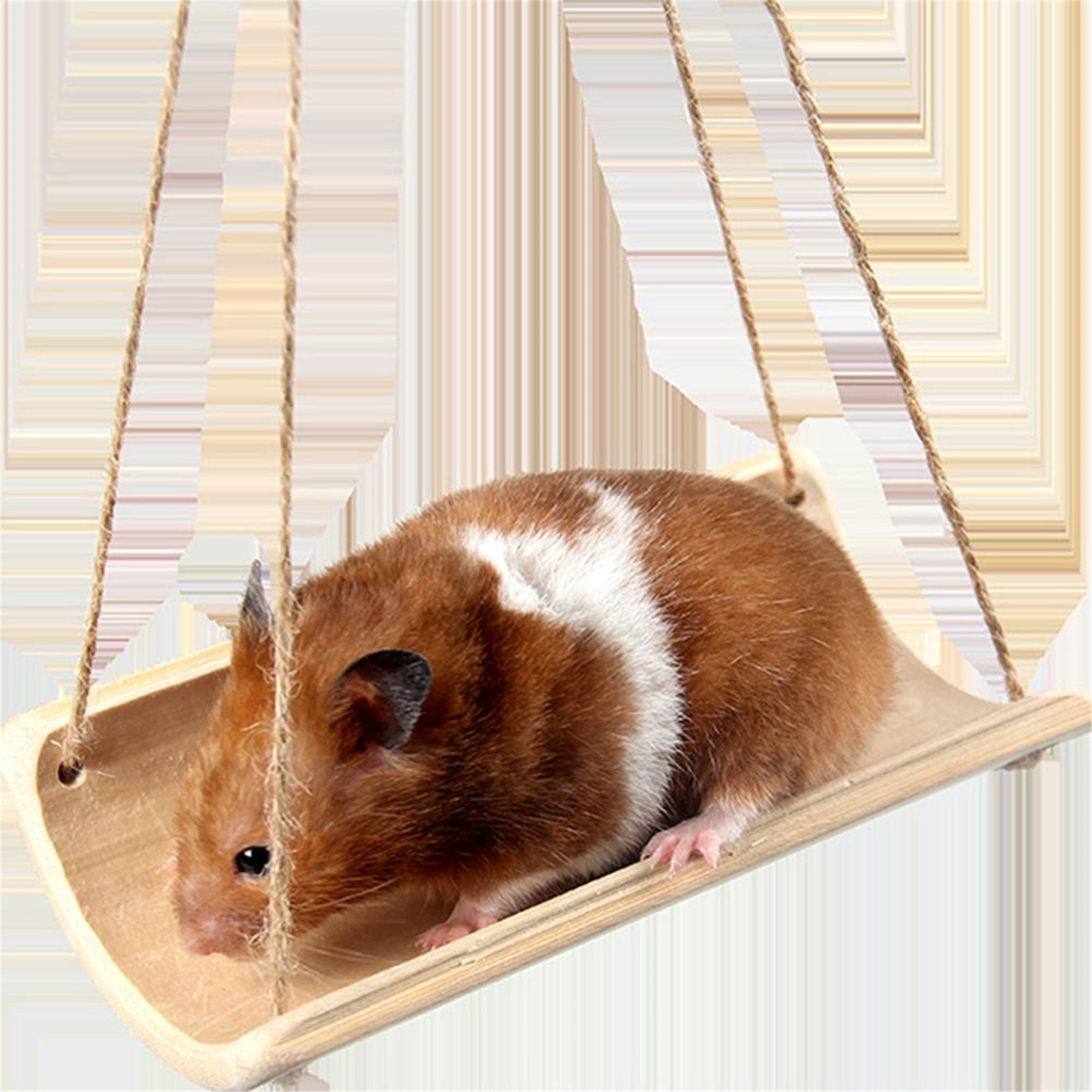 Bamboo Rat Hamster Small Pet Hanging Swing Cool Hammock Cage Etsy