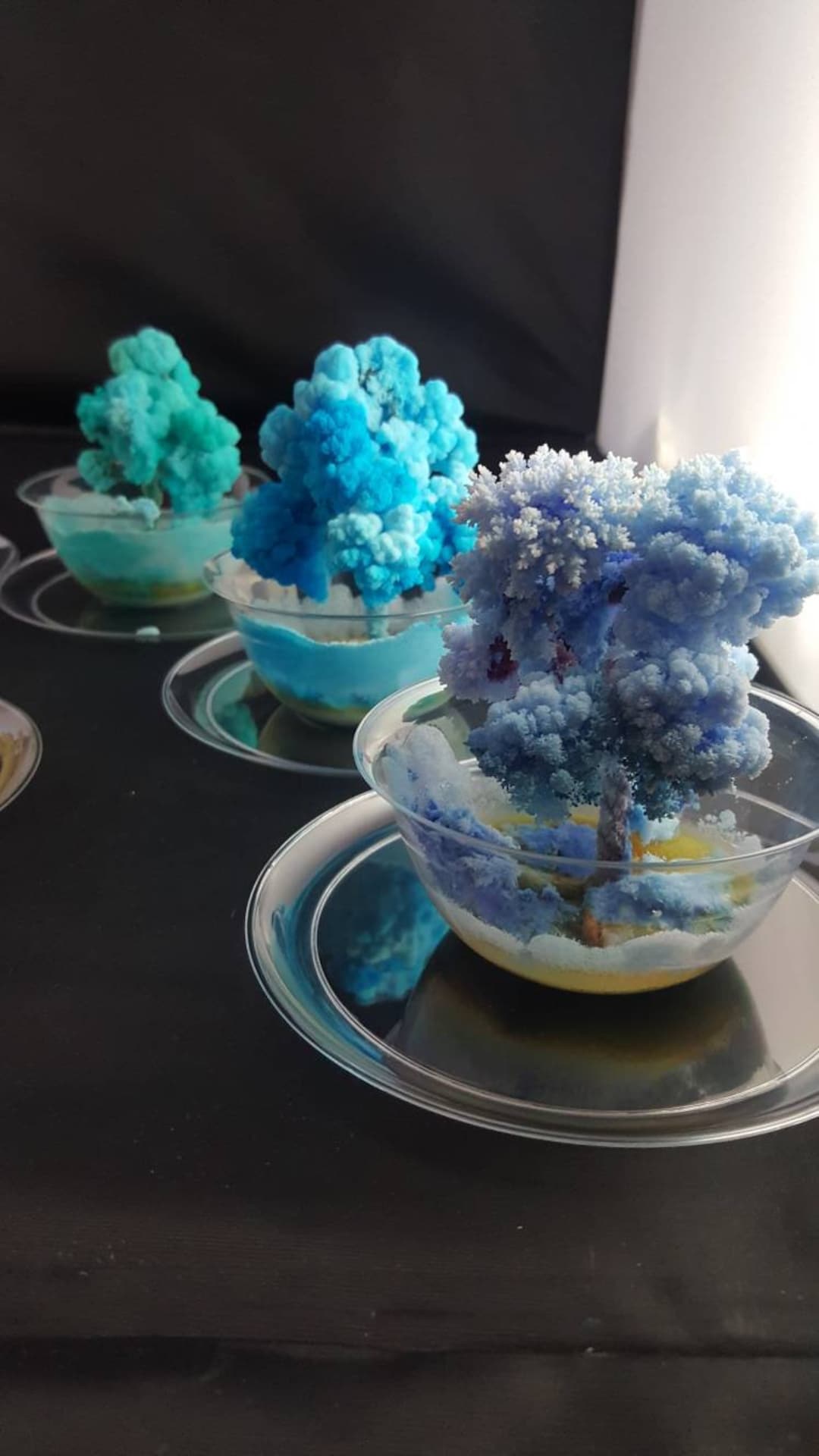 2X Crystal Growing Kits! Fun, Easy and Educational! Amazing and ...