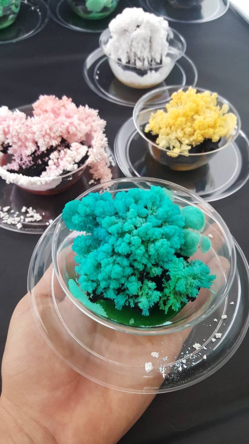 2X Crystal Growing Kits! Fun, Easy and Educational! Amazing and ...