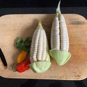 May include: Two white corn cobs on a wooden cutting board with green husks and three red and yellow peppers.