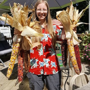 May include: A person wearing a red and blue floral shirt and grey pants is holding four ears of multi-colored corn. The corn is dried and has husks.