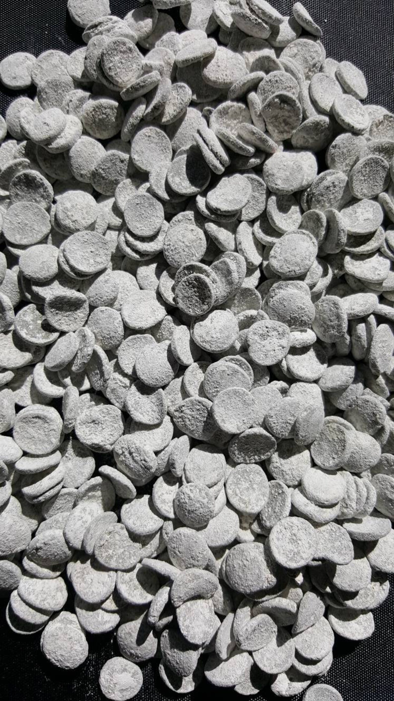 New Snail food health tabs Spirulina Algae wafers coated | Etsy