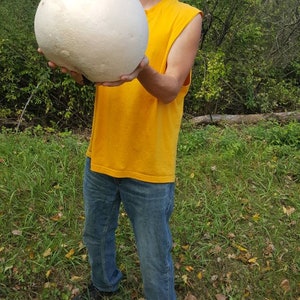 Giant Puffball Mushroom Growing Kit Over 1 Billion Spores Calvatia Gigantea, Taste Great image 7