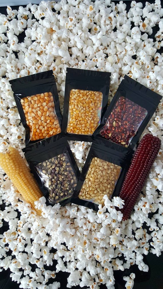 1000 Seeds Popcorn Growers Mega Pack 5 Varieties Etsy