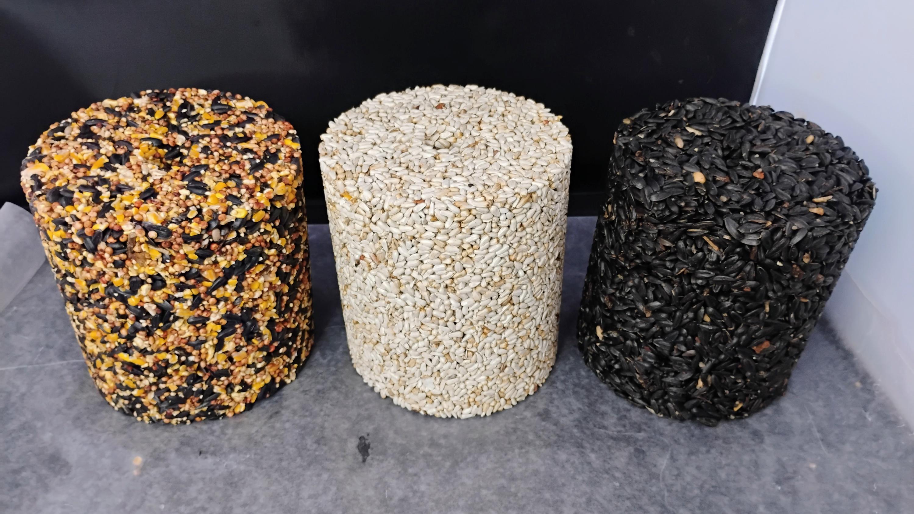 Mold Logging Large Seed Log Mold Kit! Make Your Own Amazing Seed Logs for Feeding ...