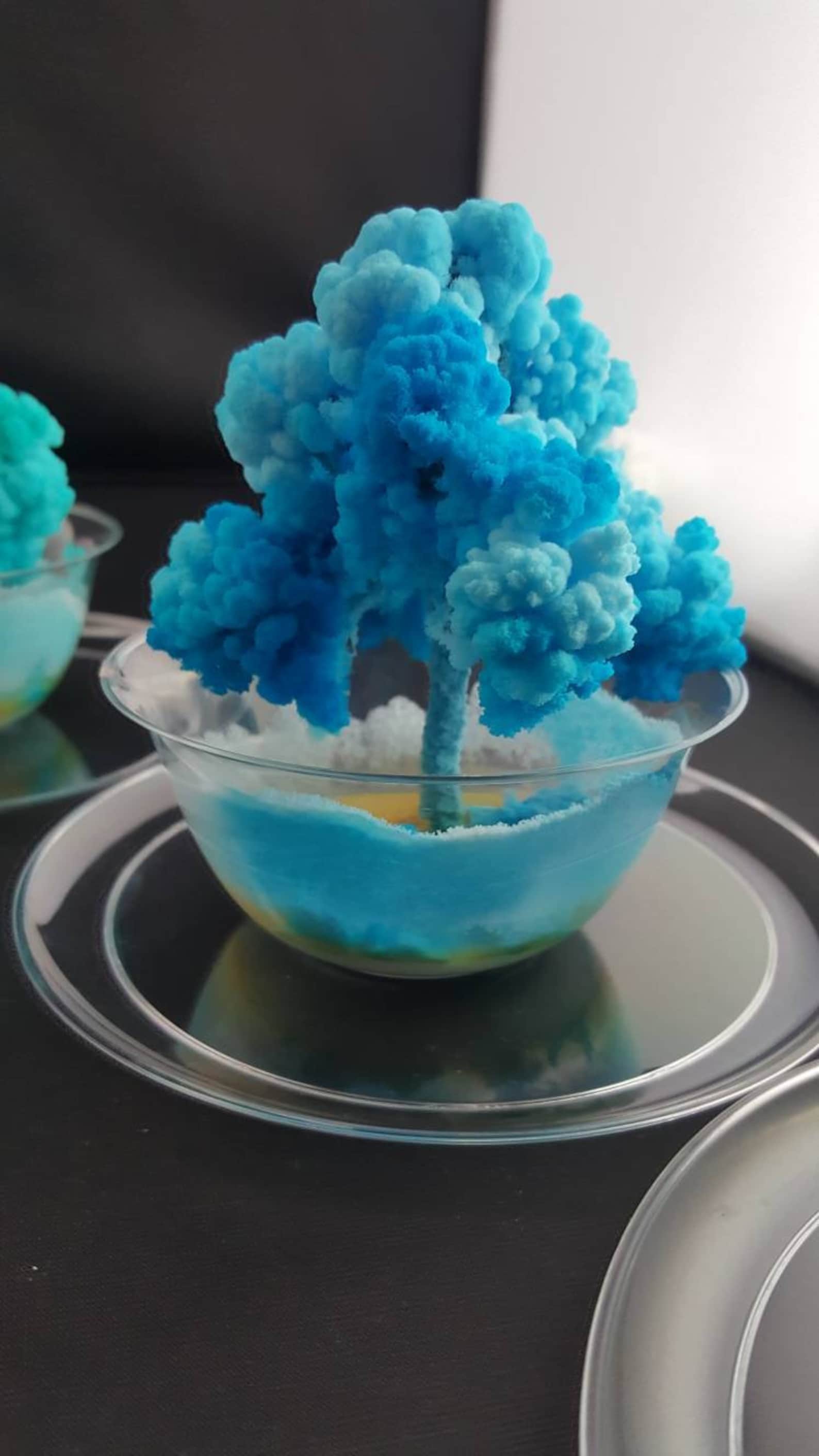 2X Crystal Growing Kits! Fun, Easy and Educational! Amazing and ...