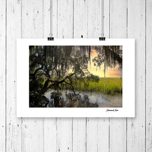 May include: A framed print of a swamp scene with a tree draped in Spanish moss. The water reflects the tree and the sunset in the background. The sky is a mix of yellow and orange.