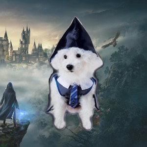 Può includere: Un cane bianco che indossa un costume da mago nero e blu con un cappello a punta. Il cane è seduto davanti a uno sfondo di castello fantastico.