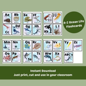Ocean Life ABC Flashcards / Pratica naturale dell'alfabeto stampabile / Riconoscimento delle lettere / Riconoscimento degli animali oceanici / Flashcard stampabili