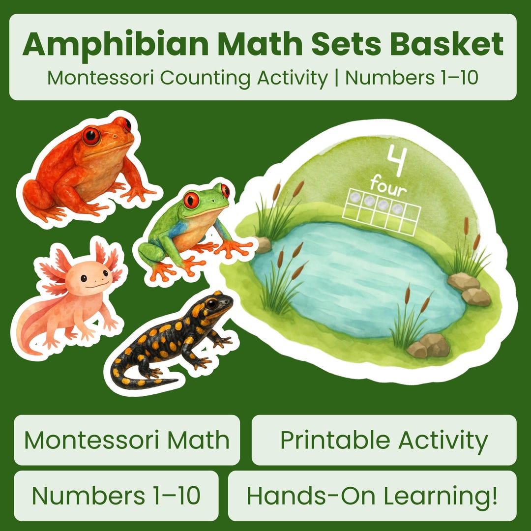 Montessori Amphibian Counting Activity | Preschool Math Sets Basket ...