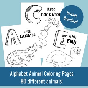 Animal Alphabet Coloring Pages | Montessori school tools activity | Pre-School Homeschool | Educational Printable | Instant Digital Download