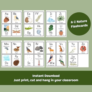 Natureza ABC Flashcards | Prática natural do alfabeto para impressão | Reconhecimento de cartas | Reconhecimento de Plantas e Animais | Flashcards para impressão