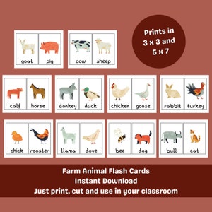 20 flashcards de animais de fazenda | Ferramentas escolares Montessori | Cartões de estudo pré-escolar em Homeschool | Educacional para impressão | Download Digital Instantâneo