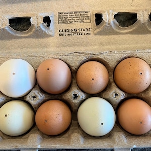 May include: A dozen eggs in a cardboard carton. The eggs vary in color from white to light brown and tan. The carton has the text "Guiding Stars" and safe handling instructions.
