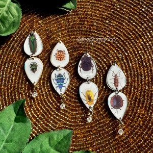 Multi Beetle Earrings: Handmade Insect Jewelry, Hypoallergenic Steel