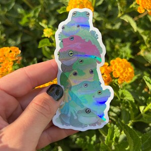 May include: A stack of seven iridescent frog stickers, each with a different color and design. The frogs are stacked on top of each other, with the largest frog at the bottom and the smallest frog at the top. The stickers are all holographic and have a rainbow sheen.