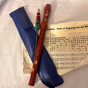 May include: A wooden recorder in a dark red finish, with a blue case and a cleaning brush. The recorder features star and skull-like decorations. A sheet of music with fingering charts is also included.