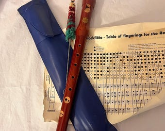 オリジナルの箱とリーフレットが付属したヴィンテージ ドルメッチ