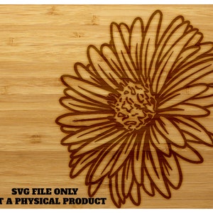 NOTATION + GRAVURE SVG Aster Illustration pour découpeuses laser