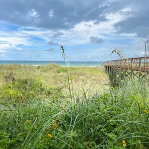 A Day at the Beach, Crescent Beach