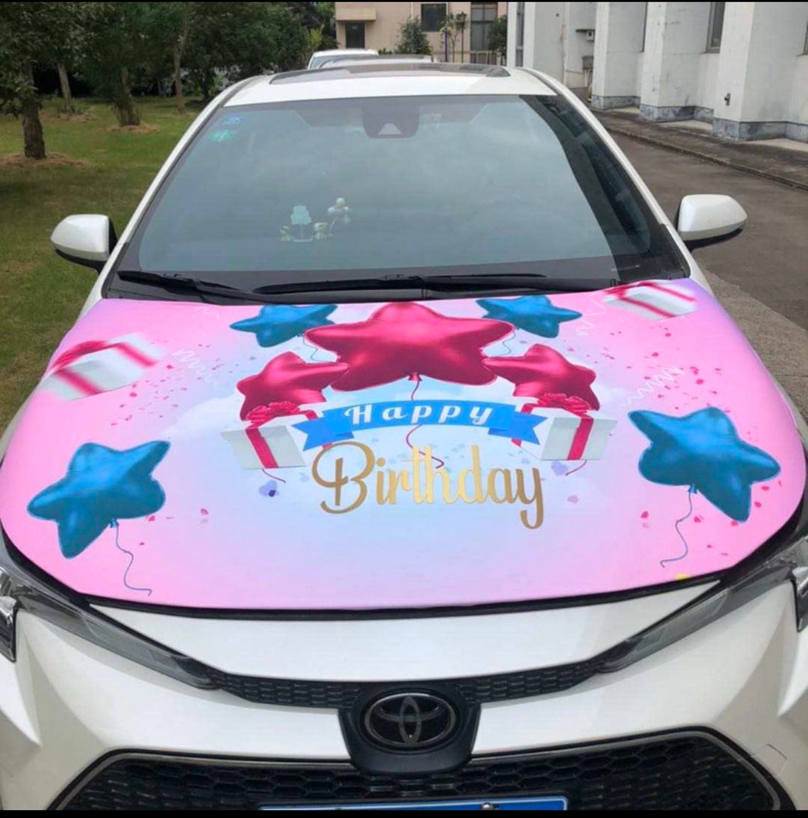 Pink Glam Birthday Celebration Car Covers Etsy