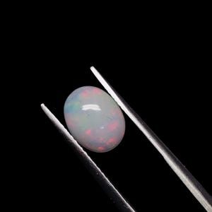 May include: An oval-shaped cabochon opal gemstone with a translucent white base and vibrant flashes of red and blue iridescence held by a pair of silver-toned metal tweezers against a solid black background.