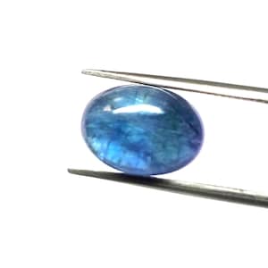 May include: An oval, polished gemstone held by tweezers. The gem is a deep blue colour with lighter blue and white internal patterns. The stone is smooth and reflective, with a glossy surface. The background is plain white.