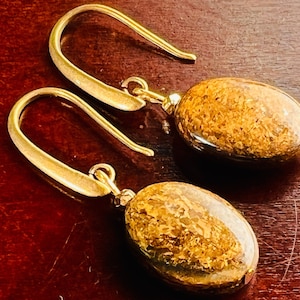 Puede incluir: Un par de pendientes de oro con piedras ovaladas de color marrón y dorado. Las piedras tienen una superficie texturizada.