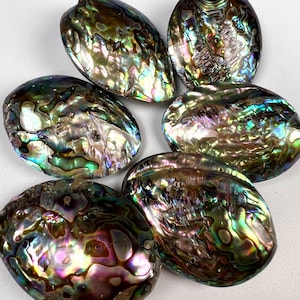 Könnte beinhalten: Sechs schillernde Abalone-Muscheln in verschiedenen Grüntönen, Blau- und Violetttönen. Die Muscheln sind glatt und oval.