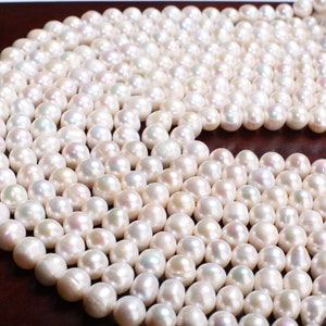 May include: A strand of white pearls, arranged in a circular pattern. The pearls are smooth and lustrous, with a slight iridescent sheen.